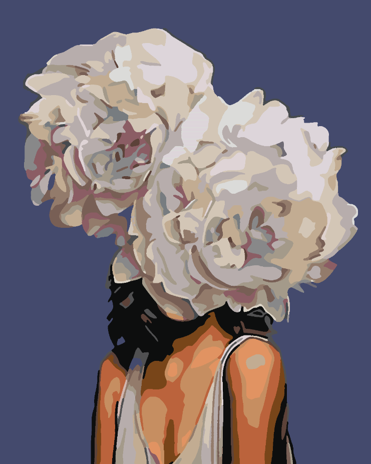 Peinture par numéros - Tête florale 4084