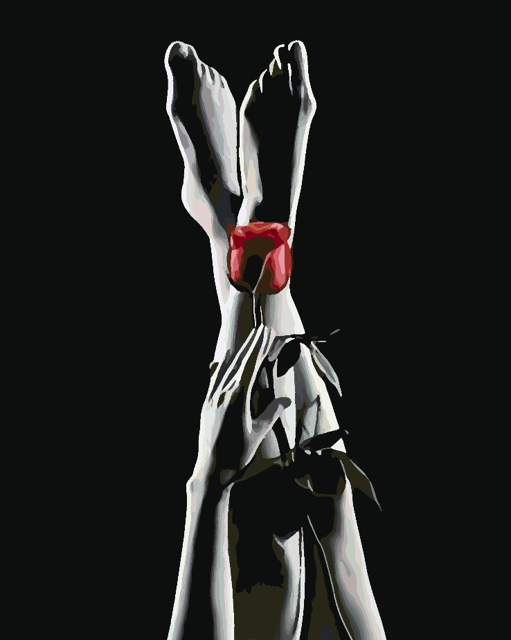 Malen nach Zahlen - Erotische Frau 4678