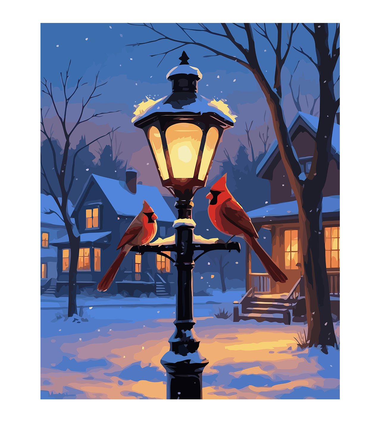 Set Pictură pe numere – Păsări Iarna 6196