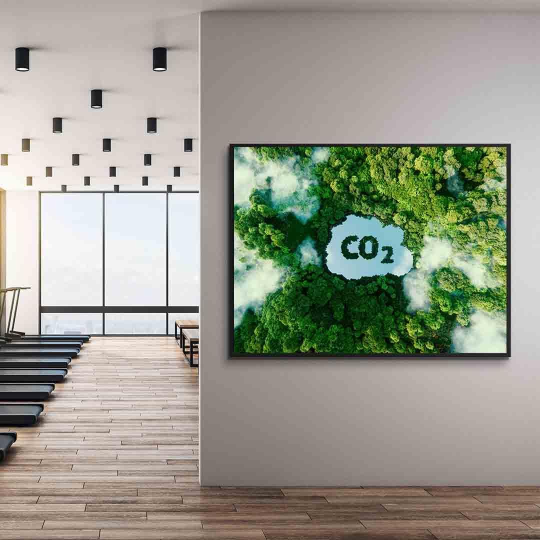 Tablou Canvas - CO2