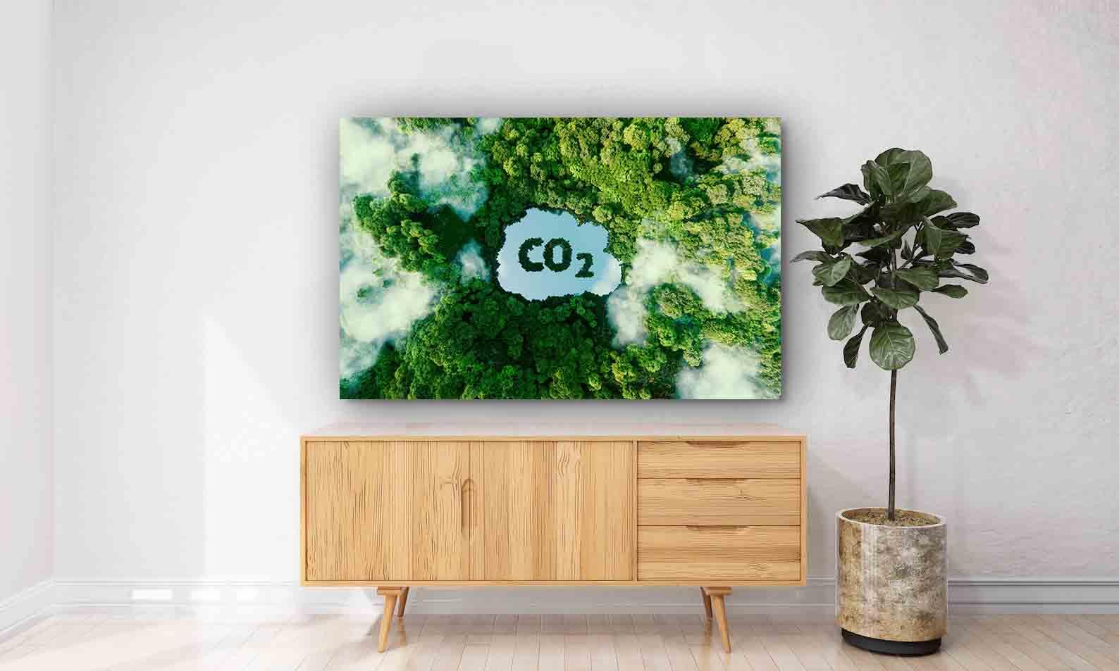 Tablou Canvas - CO2