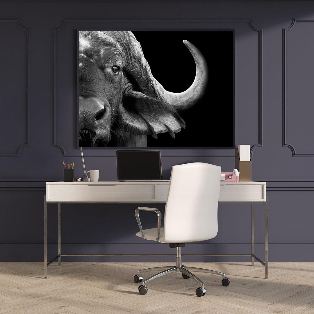 Tableau sur toile – Buffle noir et blanc