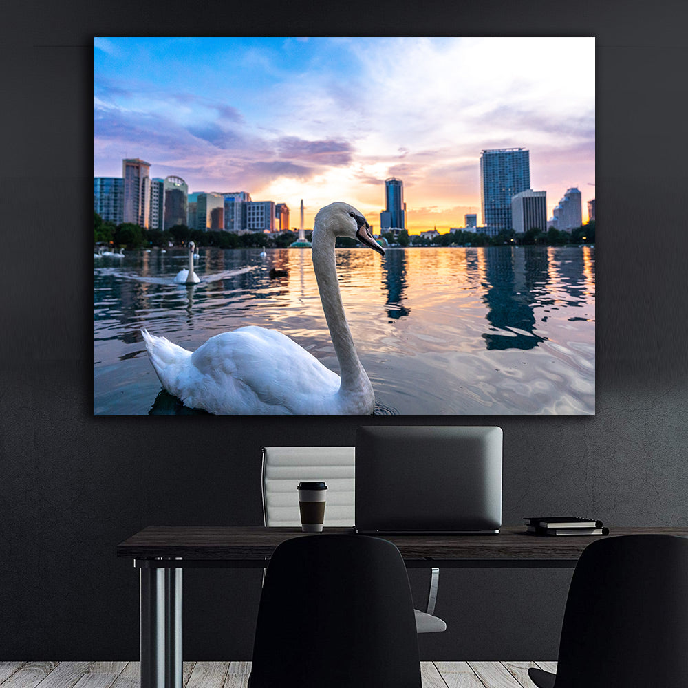 Leinwandbild - Schwäne auf dem Wasser