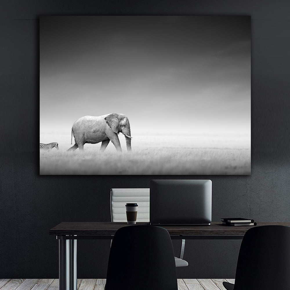 Leinwandbild - Schwarz-Weiß-Tiere