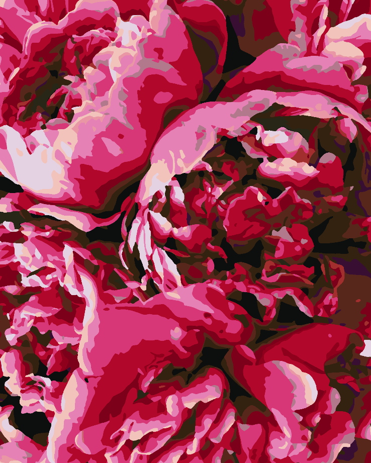 Peinture par numéros - Pivoines roses 4405