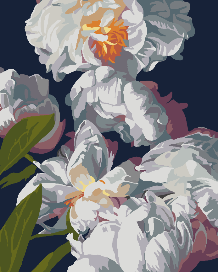 Peinture par numéros - Fleurs blanches 4519