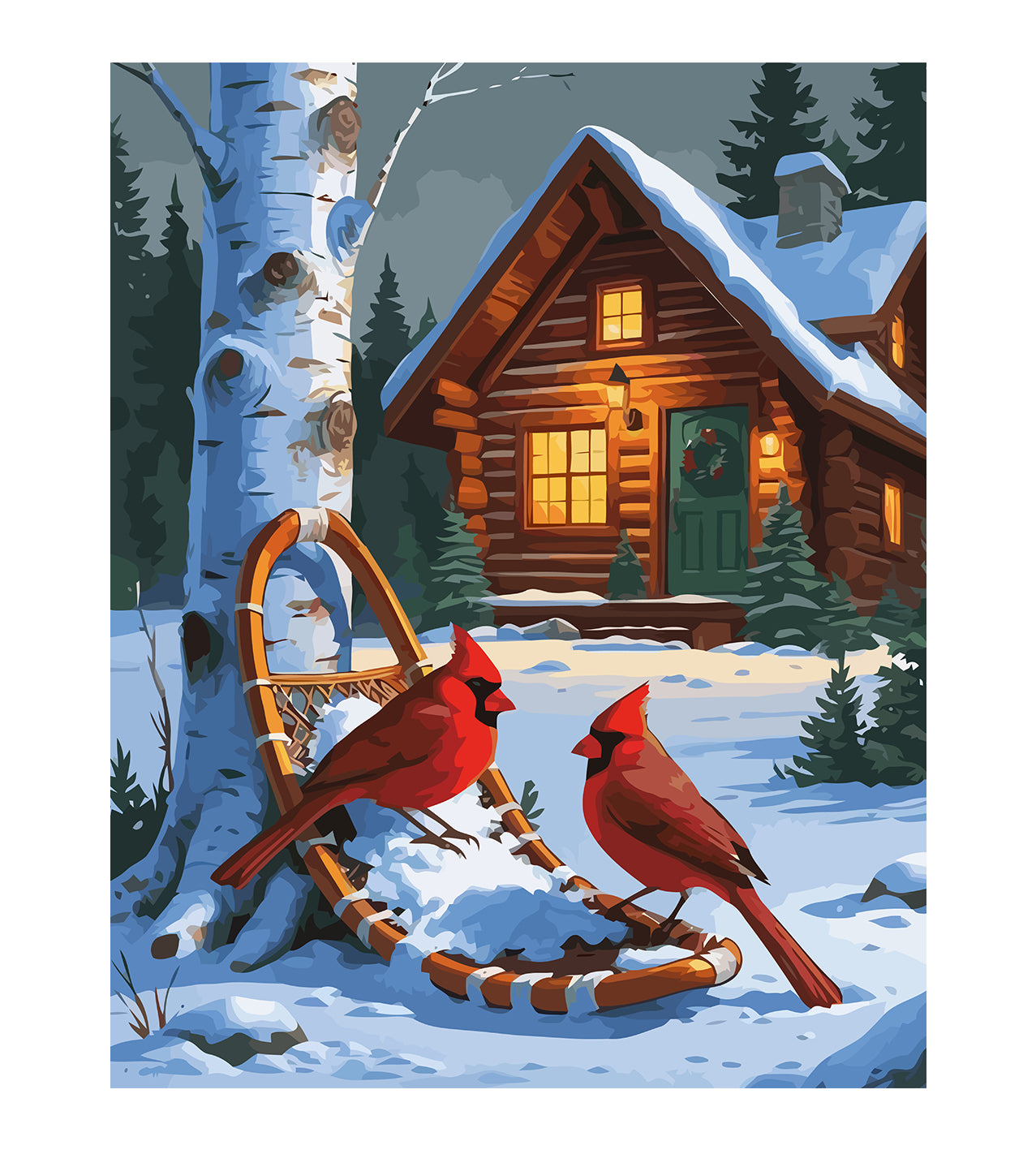 Set Pictură pe numere – Păsărele Iarna 6220