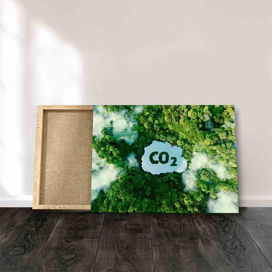 Tablou Canvas - CO2