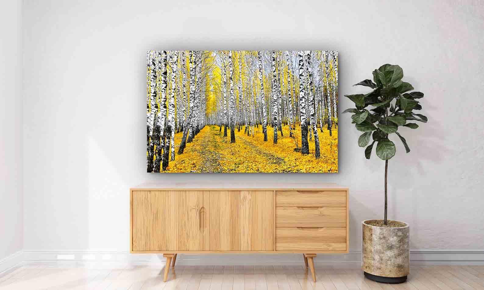 Peinture sur toile - Forêt de bouleaux en automne