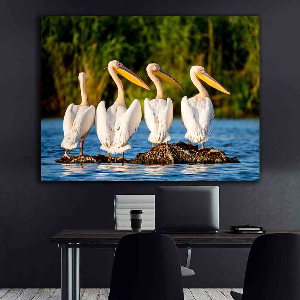 Peinture sur toile - Pélicans dans le delta du Danube